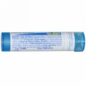 Boiron, Single Remedies, Thuja Occidentalis、6C、80 粒 (Discontinued Item)
