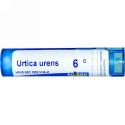 Boiron, Single Remedies, Urtica Urens, 6C,約 80 粒 (Discontinued Item)