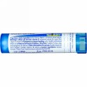 Boiron, Single Remedies, Urtica Urens, 6C,約 80 粒 (Discontinued Item)