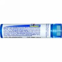 Boiron, Single Remedies, Zincum Metallicum（ジンカム メタリカム）、6C、約80ペレット (Discontinued Item)