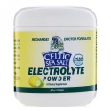 Celtic Sea Salt, 電解質パウダー、4.2オンス (120 g)