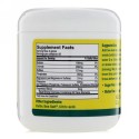 Celtic Sea Salt, 電解質パウダー、4.2オンス (120 g)