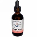 Christopher's Original Formulas, 腸の下部向けフォーミュラ、2 fl oz (59 ml)