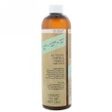 Dr. Ginger's, ココナッツマウスウォッシュ、ココナッツミント、12液量オンス (350 ml) (Discontinued Item)