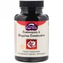 Dragon Herbs, ツルニンジン & ナツメ コンビネーション, 500 mg, 100 ベジタブルカプセル