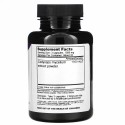 Dragon Herbs, 冬虫夏草、500mg、100植物カプセル