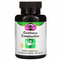 Dragon Herbs, ゲンチアーナコンビネーション、 各500 mg、 100カプセル