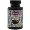 Dragon Herbs, ワイルドシベリアン・チャーガ™,  500 mg, 100 カプセル