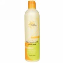 Earth Science, ヘアートリートメント ノーリッシング コンディショナー、12 fl oz (355 ml) (Discontinued Item)