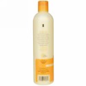 Earth Science, ヘアートリートメント ノーリッシング コンディショナー、12 fl oz (355 ml) (Discontinued Item)