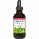 Eclectic Institute, イチョウ, 2 液量オンス (60 ml) (Discontinued Item)