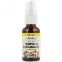 Eclectic Institute, 子供用、 プロポリス アストラガルス、 のどスプレー、 1 液量オンス (30 ml)