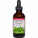 Eclectic Institute, オーガニック ジンジャー、 2 fl oz (60 ml) (Discontinued Item)