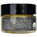 Eco Lips, オーガニック、リップスクラブ、バニラビーン、.5 oz (14.2 g) (Discontinued Item)