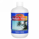 Eidon Mineral Supplements, マルチプルミネラル、18oz (533 ml)