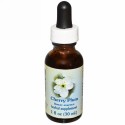 Flower Essence Services, チェリープラム、フラワーエッセンス、1 fl oz (30 ml) (Discontinued Item)
