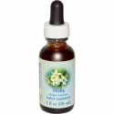 Flower Essence Services, ヒーリングハーブズ、ホリー、フラワーエッセンス、1 fl oz (30 ml)