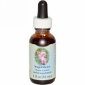 Flower Essence Services, ツリフネソウ、フラワーエッセンス、1 fl oz (30 ml) (Discontinued Item)