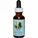 Flower Essence Services, カラマツ、フラワーエッセンス、1 fl oz (30 ml)