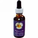 Flower Essence Services, マリポサ　リリー、フラワーエッセンス、1 fl oz (30 ml) (Discontinued Item)