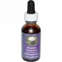 Flower Essence Services, マウンテンペニーロイヤル、フラワーエッセンス、1 fl oz (30 ml)