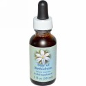 Flower Essence Services, スターオブベツレヘム、フラワーエッセンス、1 fl oz (30 ml)