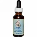 Flower Essence Services, ホワイトチェスナッツ、フラワーエッセンス、 1液量オンス (30 ml) (Discontinued Item)