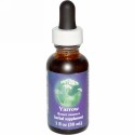 Flower Essence Services, ヤロー、フラワーエッセンス、1 fl oz (30 ml) (Discontinued Item)