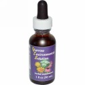 Flower Essence Services, ヤロウエンバイロメンタルソリューション、1液量オンス (30 ml)