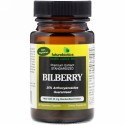 FutureBiotics, ビルベリー, 60 ベジタブルカプセル
