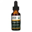 Gaia Herbs, ショウガ根、30ml（1液量オンス）