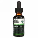Gaia Herbs, オリーブ葉、30ml（1液量オンス）