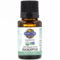 Garden of Life, 100% Organic & Pure, Essential Oils, Focus, Eucalyptus, 0.5 fl oz (15 ml) (Discontinued Item)