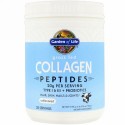 Garden of Life, グラスフェッド・コラーゲンペプチド、無香料、19.75 oz (560 g)