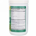 Garden of Life, パーフェクトフードスーパーグリーンフォーミュラ、300 g（10.58 oz）