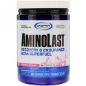 Gaspari Nutrition, アミノラスト、回復＆持久力、BCAAスーパー燃料、スイカブラスト、14.8 oz (420 g)
