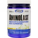 Gaspari Nutrition, アミノラスト、回復 & 耐久力BCAA スーパーフューエル、レモンアイス、14.8 oz (420 g)