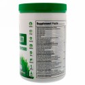 Greens Plus, アドバンスド・マルチ・ロー・スーパーフード, 9.4 オンス  (276 g) 青野菜パウダー