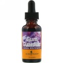 Herb Pharm, Gum Guardian, Herbal Mouthwash, 1 fl oz (30 ml) (Discontinued Item)
