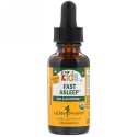 Herb Pharm, オーガニックキッズ・ファストアスリープ、アルコールフリー、1 液体オンス（30 ml）