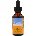 Herb Pharm, オオバコ（Plantain）, 新鮮な葉, 1液量オンス（30 ml）