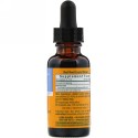 Herb Pharm, レッドルート（サングイナリア属）, 1液量オンス（30 ml）