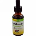 Herbs Etc., リンパトニック、 プロ用の強度、 1液量オンス (29.5 ml)