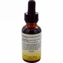 Herbs Etc., リンパトニック、 プロ用の強度、 1液量オンス (29.5 ml)