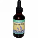 Herbs for Kids, Herbs for Kids, Echinacea/Eyebright, 2 fl oz (59 ml) (Discontinued Item)
