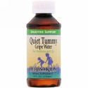 Herbs for Kids, クワイエットタミー 腹痛止めシロップ、4オンス (120 ml) (Discontinued Item)