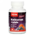 Jarrow Formulas, Blackcurrant Plus Lutein, ベジタリアンカプセル60ベジカプセル