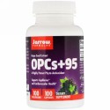 Jarrow Formulas, OPCs + 95、 グレープシードエキス、 100mg、 100カプセル