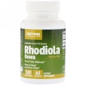 Jarrow Formulas, ロディオラ・ロゼア、500 mg、60 錠