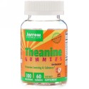 Jarrow Formulas, Theanine Gummies, Sugar Free, Apple Flavor, 100 mg, 60 Gummies